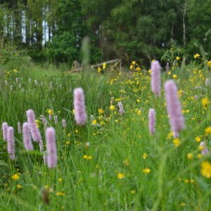 Landschapsborderbox Zuid-Limburgs heuvellandschap