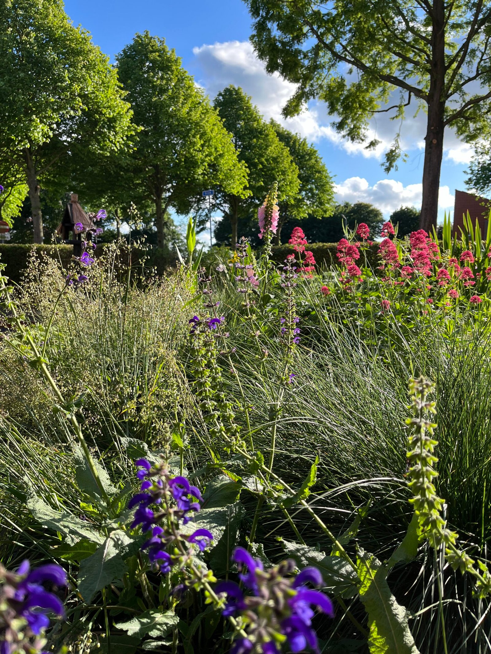 Landschapsborderbox Midden-Nederlands rivierenlandschap
