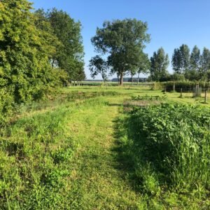 Landschapsborderbox Midden-Nederlands zandlandschap